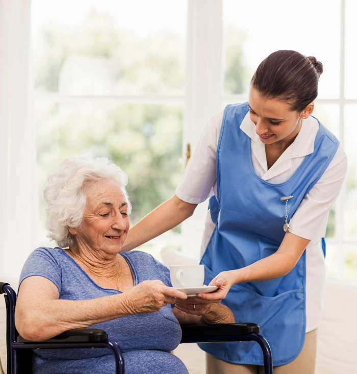 Professional domestic help for elderly participants Merrylands ensuring safe and comfortable living
