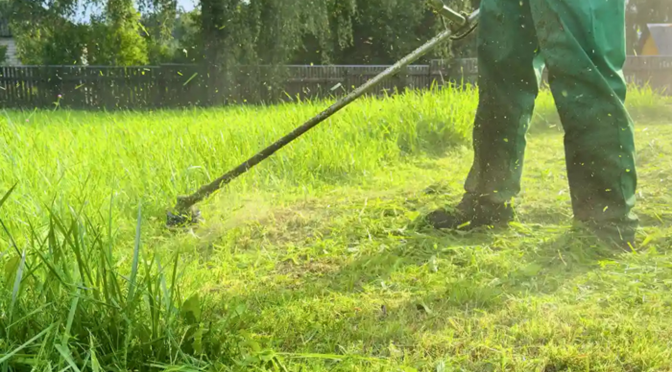 The Ultimate NDIS Yard Cleaning Checklist for Homes